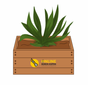 Afbeelding DIY plantenbak