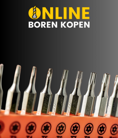 Blog afbeelding Torx