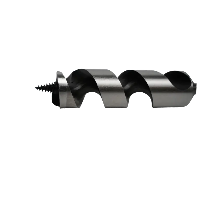 boorkop van een slangenboor